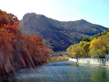 新澳天天开奖资料大全旅游团，修神小说